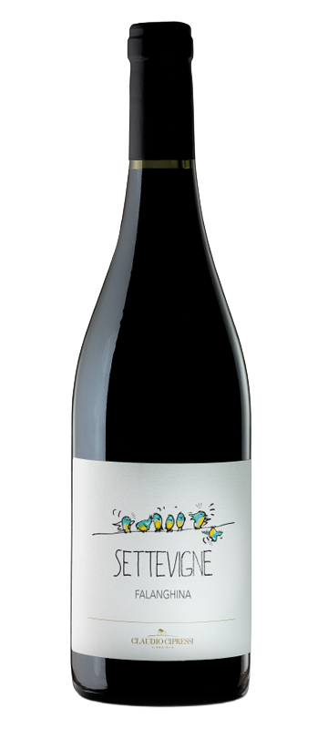 SETTEVIGNE FALANGHINA DEL MOLISE